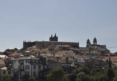 Novas raízes, novos negócios: Como os imigrantes estão a empreender em Viseu