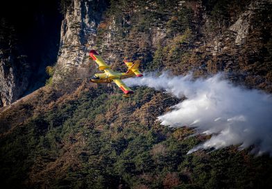 Das Cinzas à recuperação: Como Sernancelhe enfrenta as consequências do incêndio de 2025