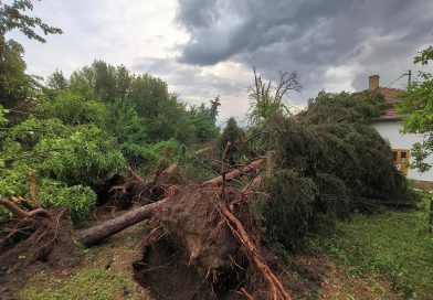 Quatro meses depois: habitantes [ainda] aprendem a viver depois da tempestade