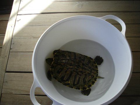 EB1 de Lustosa - Viseu (1).jpg