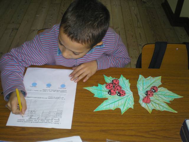 EB1 Pedraires (12).JPG