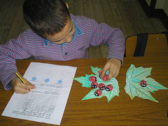 EB1 Pedraires (13).JPG