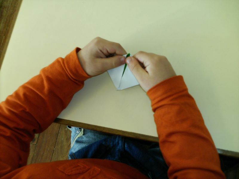 Pindelo_de_Silgueiros (12).JPG