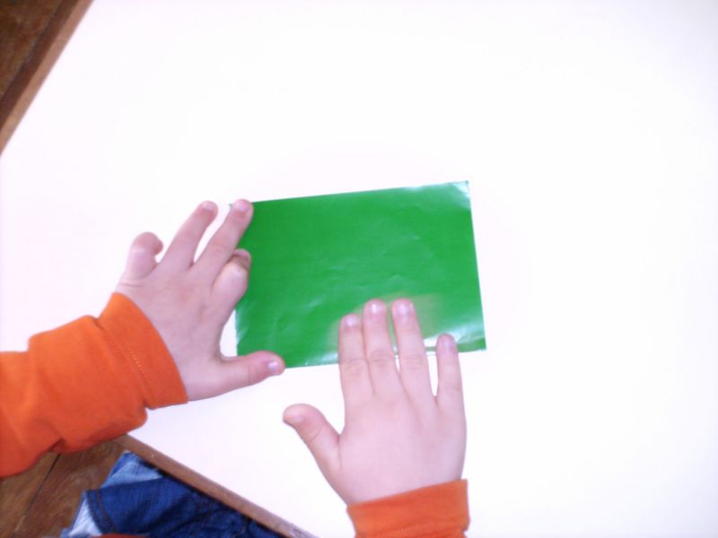 Pindelo_de_Silgueiros (7).JPG