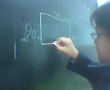 Castanheiro do Ouro - Tarouca (4).jpg