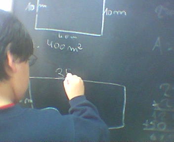 Castanheiro do Ouro - Tarouca.jpg