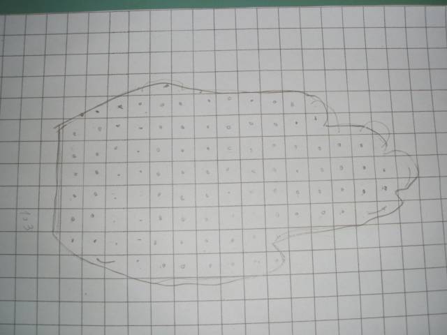 EB1 Vilar Seco (2).JPG