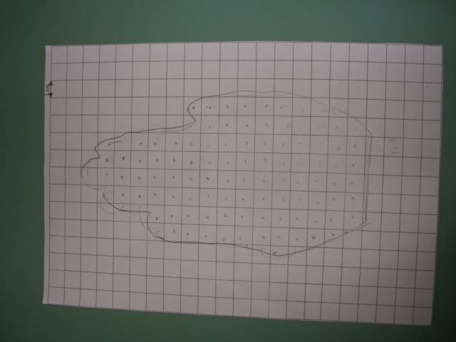 EB1 Vilar Seco (3).JPG