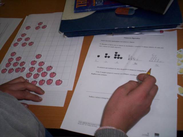 eb1_semitela _02.jpg