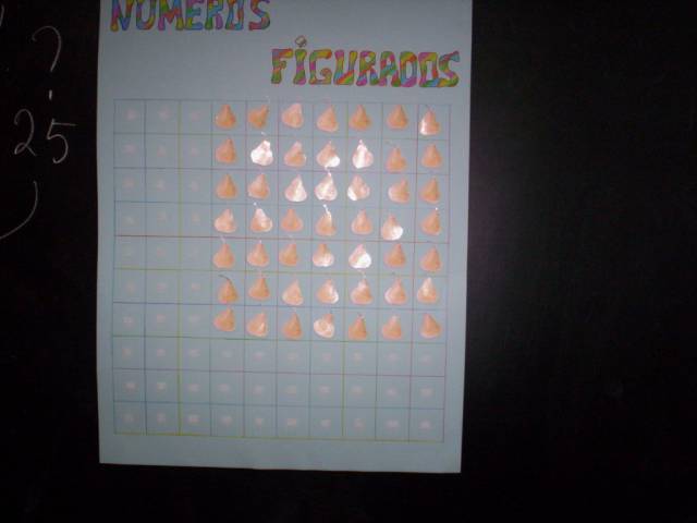 eb1_semitela _04.jpg