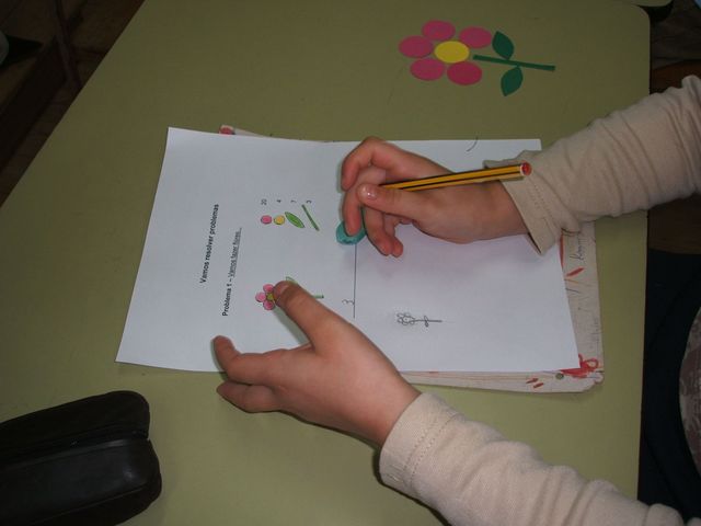 Construir flores, Mortazel (1).JPG