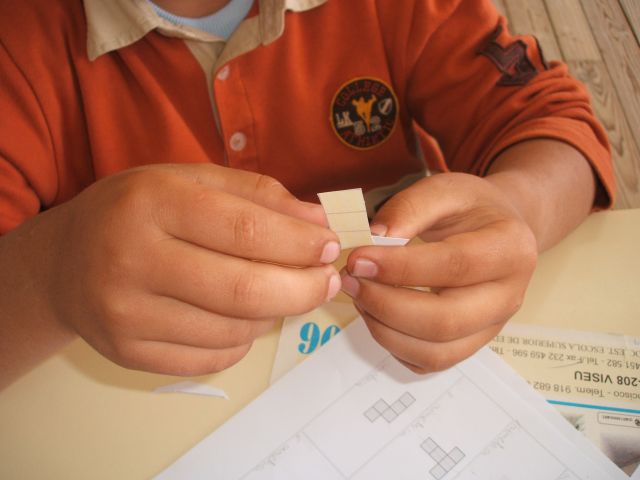 Pereiro e Balsa (6).JPG