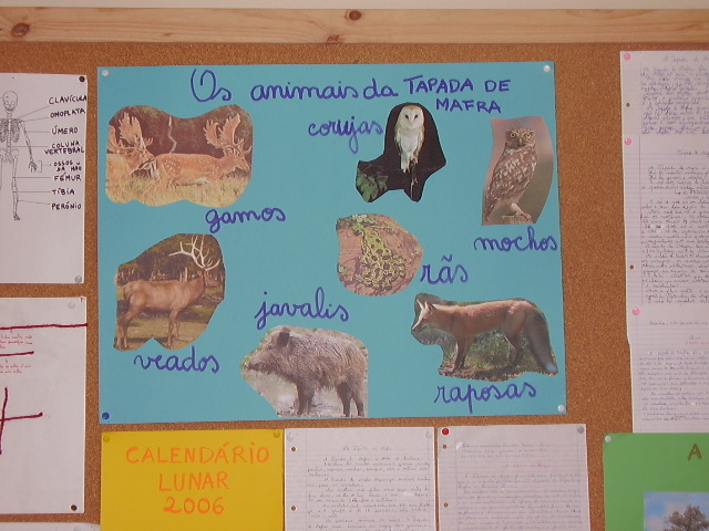 Eb1 de Bordonhos3.JPG