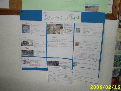 Folgosa Castro Daire_02.JPG